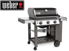 Barbecue Weber