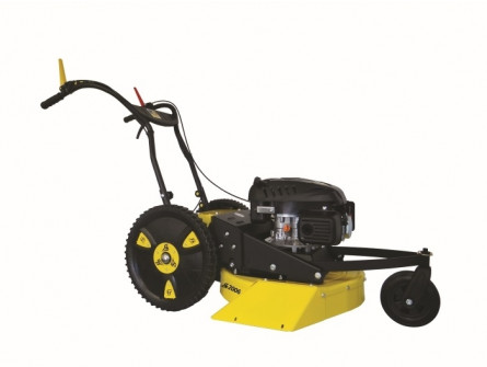 ROQUES ET LECOEUR  RL 2006 RLE