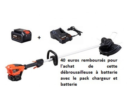 Debroussailleuse ECHO DSRM 310 Pack Batterie LBP36-80 et Chargeur LC-3604