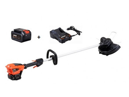 Debroussailleuse ECHO DSRM 310 Pack Batterie LBP36-80 et Chargeur LC-3604