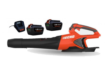Souffleur à main ECHO DPB 2500 Pack 2 Batteries LPB 50-250 et Chargeur LCJQ-560