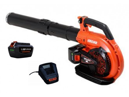 Souffleur à main ECHO DPB 2600 Pack 2 Batteries LPB 50-250 et Chargeur LCJQ-560