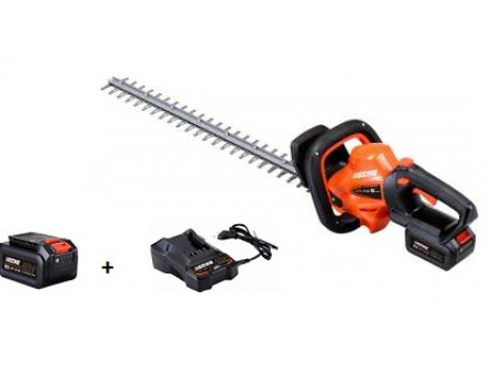 Taille Haies ECHO DHC 310 Pack Batterie LBP36-80 et Chargeur LC-3604