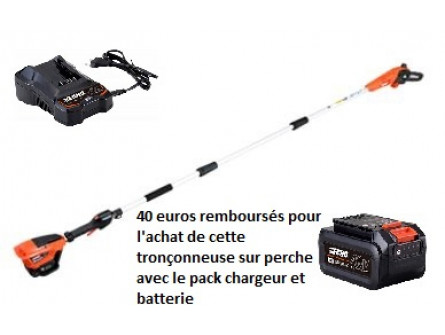 Tronçonneuse sur perche ECHO DPPF 310 Pack Batterie LBP36-150 et Chargeur LC-3604