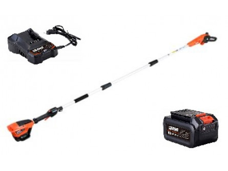Tronçonneuse sur perche ECHO DPPF 310 Pack Batterie LBP36-80 et Chargeur LC-3604