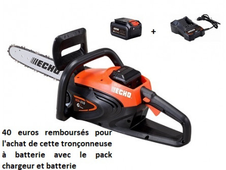 Tronçonneuse ECHO DCS 310 Pack Batterie LBP36-150 et Chargeur LC-3604
