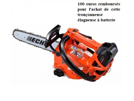 Tronçonneuse Elagueuse ECHO DCS 2500 T Pack 2 Batteries LPB 50-150 et Chargeur LCJQ-560 avec avec 2 chaines d'origine