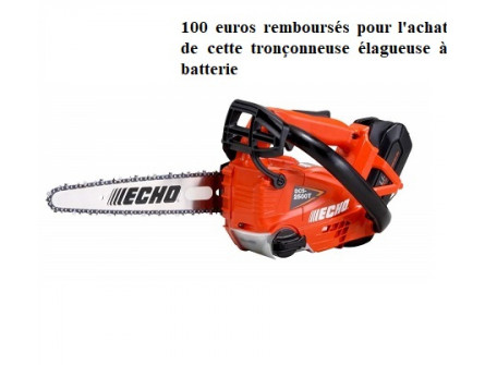 Tronçonneuse Elagueuse ECHO DCS 2500 TCA en 1/4 Pack 2 Batteries LPB 50-150 et Chargeur LCJQ-560. avec avec 2 chaines d'origine