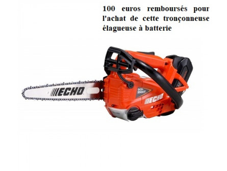 Tronçonneuse Elagueuse ECHO DCS 2500 TCA en 1/4  (Nue) avec avec 2 chaines d'origine