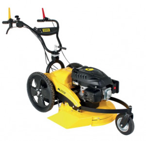 ROQUES ET LECOEUR  RL2008RLEC