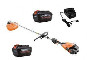 Debroussailleuse ECHO DSRM 3500 L Pack 2 Batteries LBP 50-250 et Chargeur LCJQ 560C