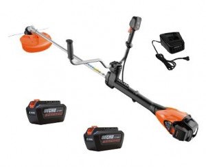 Debroussailleuse ECHO DSRM 3500 UP Pack 2 Batteries LBP 50-250 et Chargeur LCJQ 560C