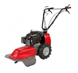 PUBERT L JUNIOR 55 P