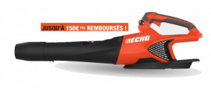 Souffleur à main ECHO DPB 2500 (Nu)