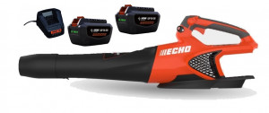 Souffleur à main ECHO DPB 2500 Pack 2 Batteries LPB 50-250 et Chargeur LCJQ-560