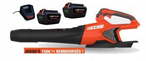 Souffleur à main ECHO DPB 2500 Pack 2 Batteries LPB 50-250 et Chargeur LCJQ-560