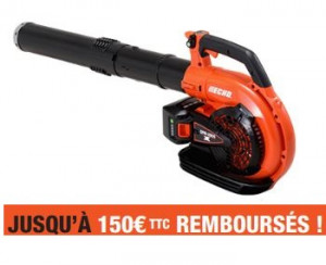 Souffleur à main ECHO DPB 2600 (Nu)