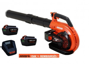 Souffleur à main ECHO DPB 2600 Pack 2 Batteries LPB 50-250 et Chargeur LCJQ-560