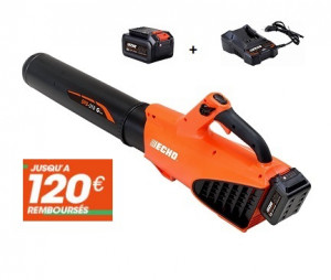 Souffleur à main ECHO DPB 310 avec Batterie LBP 36-150 et chargeur LC-3604