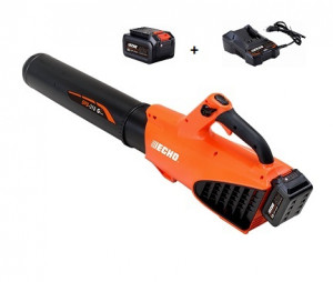 Souffleur à main ECHO DPB 310 avec Batterie LBP 36-150 et chargeur LC-3604