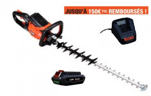 Taille Haies ECHO DHC 2200R Pack 2 Batteries LPB 56-V125 et Chargeur LCJQ-560