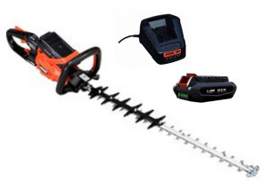 Taille Haies ECHO DHC 2800R Pack 2 Batteries LBP 56-V125 et Chargeur LCJQ-560