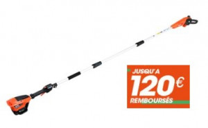 Tronçonneuse sur perche ECHO DPPF 310 (Nu)