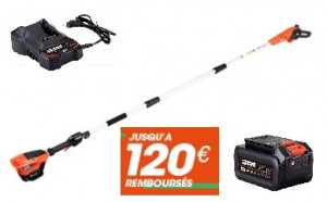Tronçonneuse sur perche ECHO DPPF 310 Pack Batterie LBP36-80 et Chargeur LC-3604
