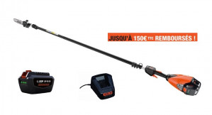 Tronçonneuse sur perche ECHO DPPT 2600 LW avec deux batteries LPB50-250 et un chargeur LCJQ-5602C.