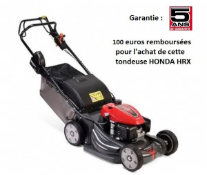 Tondeuse HONDA HRX 537 HZEA
