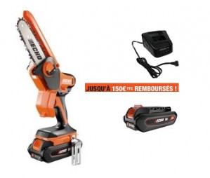 Scie de Jardin ECHO DHS 3006 Pack une Batterie LPB 56-V125 et Chargeur LCJQ-560 