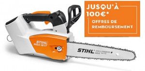 Tronçonneuse Elagueuse STIHL MSA 161 T en 25 cm (Nue)
