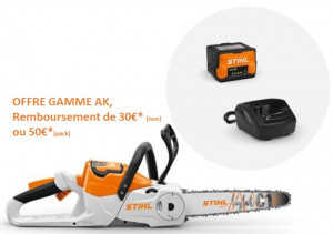 Tronçonneuse STIHL MSA 60 C-B Pack avec AK 20 + AL 101