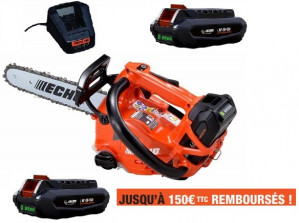 Tronçonneuse Elagueuse ECHO DCS 2500 T Pack 2 Batteries LPB 56-V125 et Chargeur LCJQ-560