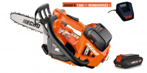 Tronçonneuse Elagueuse ECHO DCS 3500 T Pack Batterie LPB 56-V125 et Chargeur LCJQ-560 