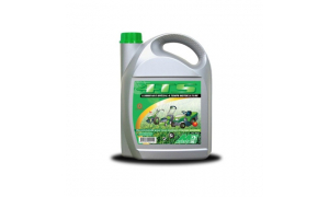 Huile moteur 4 Temps de 5L