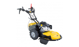 ROQUES ET LECOEUR RL 115 B