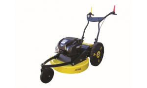 ROQUES ET LECOEUR RL 2006 B