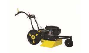 ROQUES ET LECOEUR  RL 2006 RLE