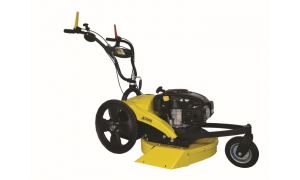 ROQUES ET LECOEUR RL 2008 B