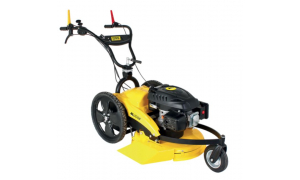 ROQUES ET LECOEUR  RL2008RLEC