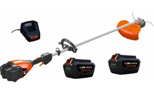 Debroussailleuse ECHO DSRM 2600 L Pack 2 Batteries LBP 50-250 et Chargeur LCJQ 560C