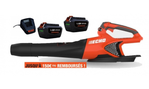 Souffleur à main ECHO DPB 2500 Pack 2 Batteries LPB 50-250 et Chargeur LCJQ-560