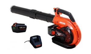 Souffleur à main ECHO DPB 2600 Pack 2 Batteries LPB 50-250 et Chargeur LCJQ-560