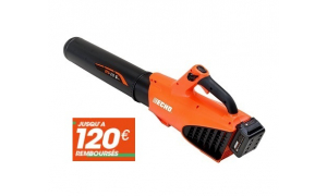 Souffleur à main ECHO DPB 310 (Nu)