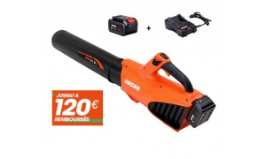 Souffleur à main ECHO DPB 310 avec Batterie LBP 36-150 et chargeur LC-3604