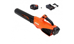 Souffleur à main ECHO DPB 310 avec Batterie LBP 36-150 et chargeur LC-3604