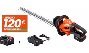 Taille Haies ECHO DHC 310 Pack Batterie LBP36-80 et Chargeur LC-3604
