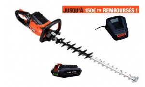 Taille Haies ECHO DHC 2200R Pack 2 Batteries LPB 56-V125 et Chargeur LCJQ-560