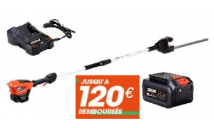 Taille Haies sur perche ECHO DHCA 310 Pack Batterie LBP36-80 et Chargeur LC-3604